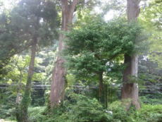 �����@�𑠑O