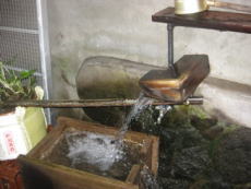 �����@�𑢏�