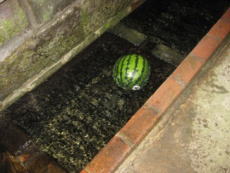 �����@�𑢏�