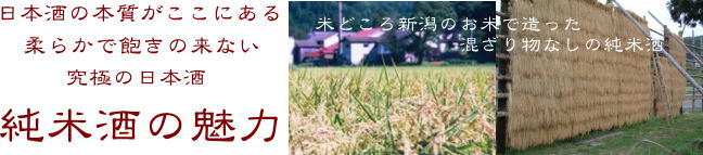 ���Ď��@���ݔ��