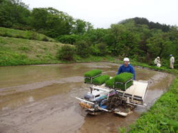 ���߁@��č�蕗�i