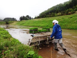 ���߁@��č�蕗�i