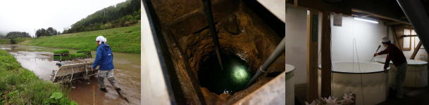 ���n�̒n���@���߁@�����𑢓X