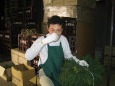 ������𑢁@