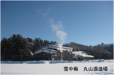 新潟の地酒　雪中梅　酒蔵風景